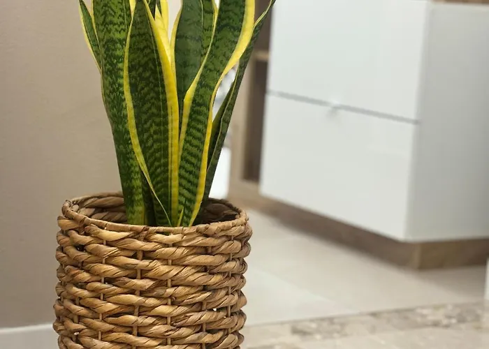 Casa Vittoria - Tra Maggiore E Centro *