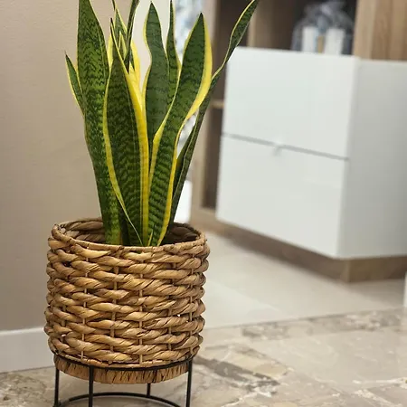 Casa Vittoria - Tra Maggiore E Centro Citta *